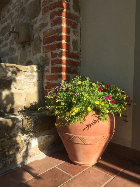 구아르도타디노 Casale Degli Ulivi 빌라 외부 사진